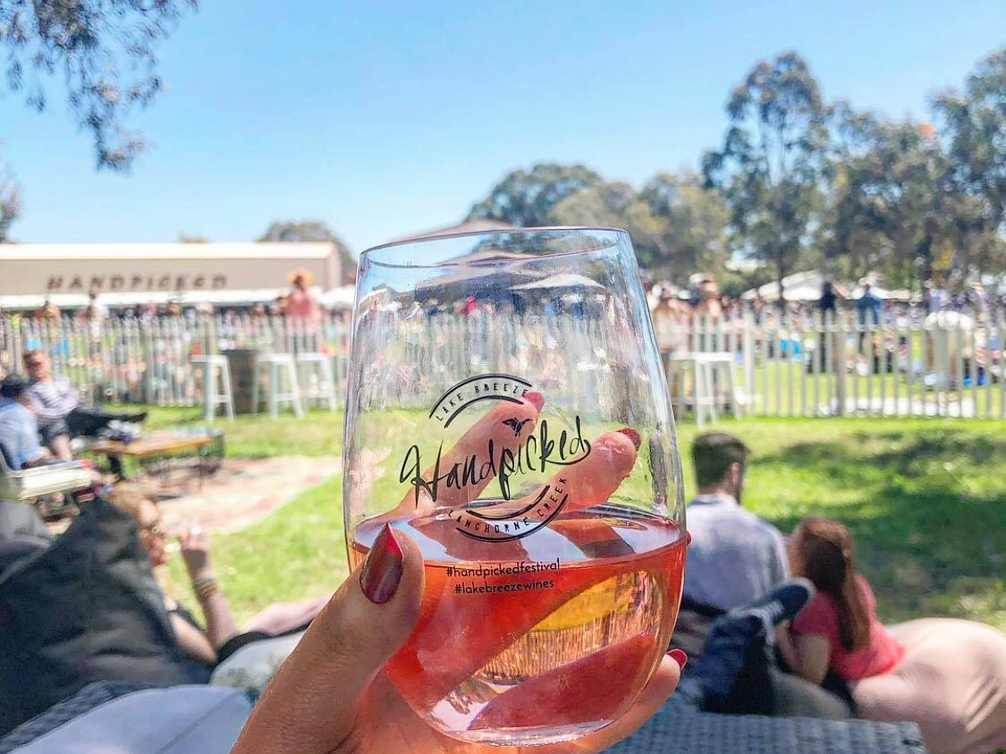 46161822_447135369144873_5084020842032005120_n