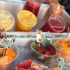 51484149_378718272708298_6516891136785645568_n