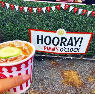 52363029_2293315320887705_2110750686797889536_n