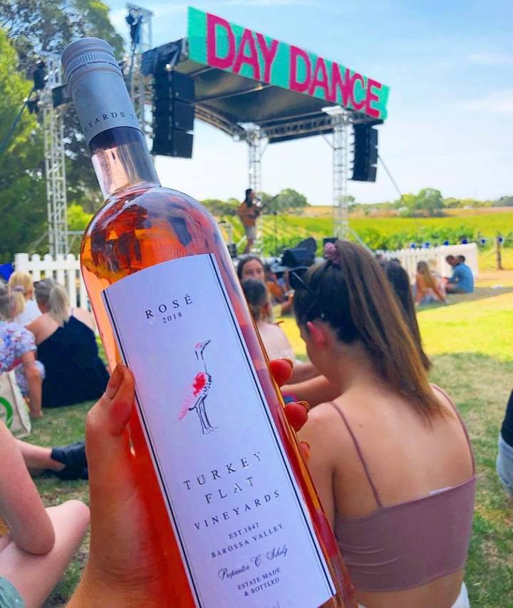 53836724_2296859987307078_5992633186524332032_n