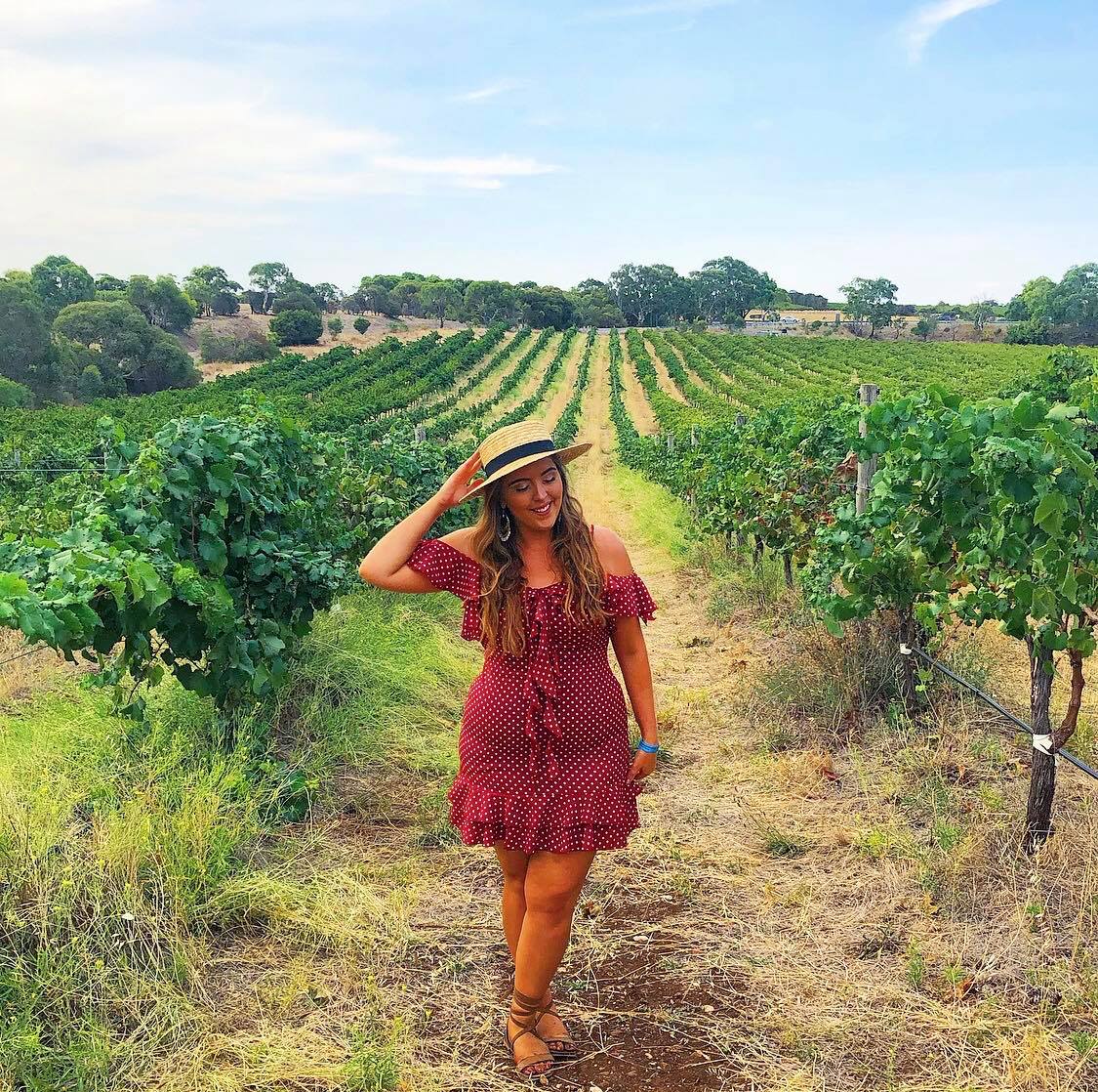 54431878_338165793482766_7604482589637738496_n